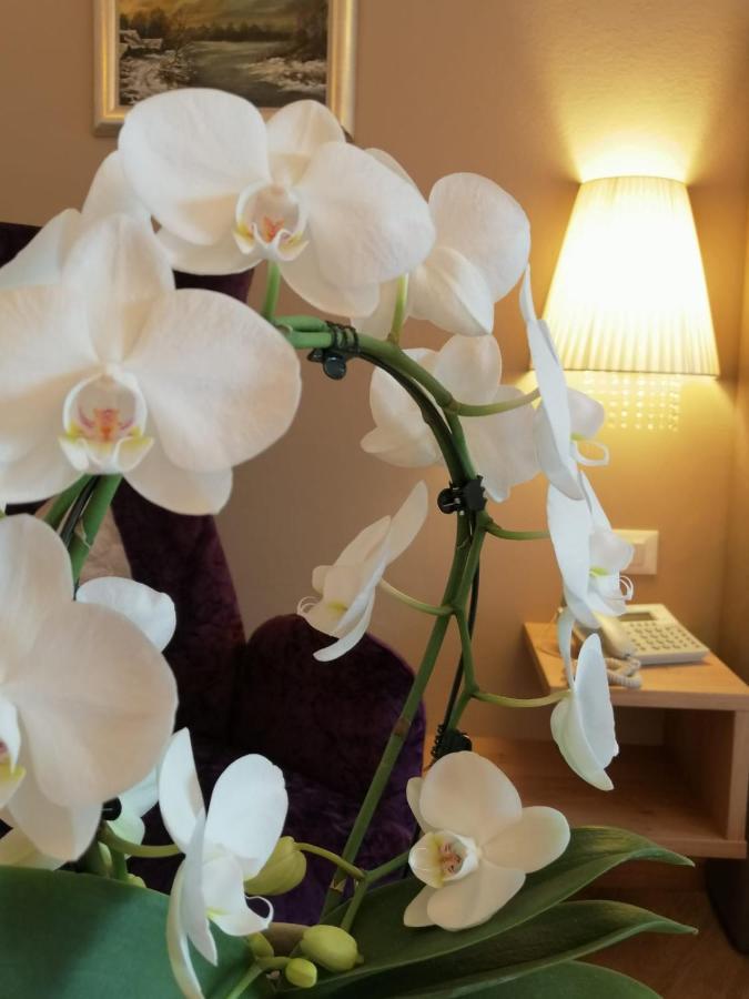 Hotel Tenne 思科纳 外观 照片